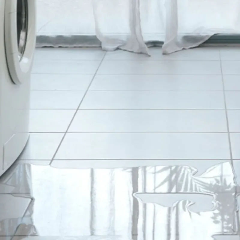Appliance Leak Cleanup in Montevideo, MN