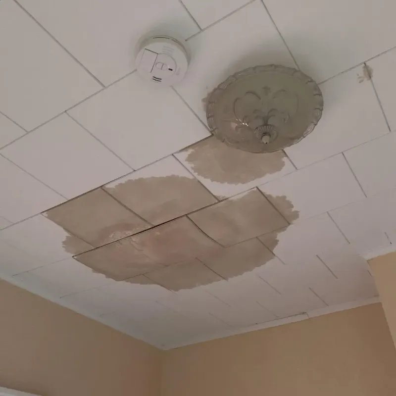 Ceiling Water Damage Repair in Montevideo, MN