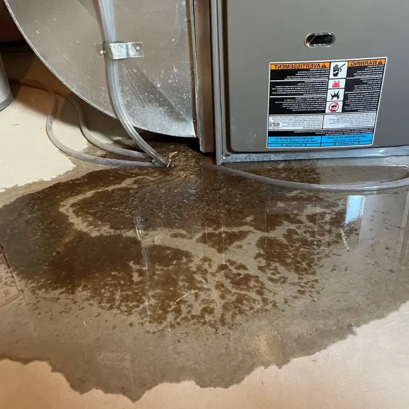 Pipe Burst and Leak Restoration in Montevideo, MN