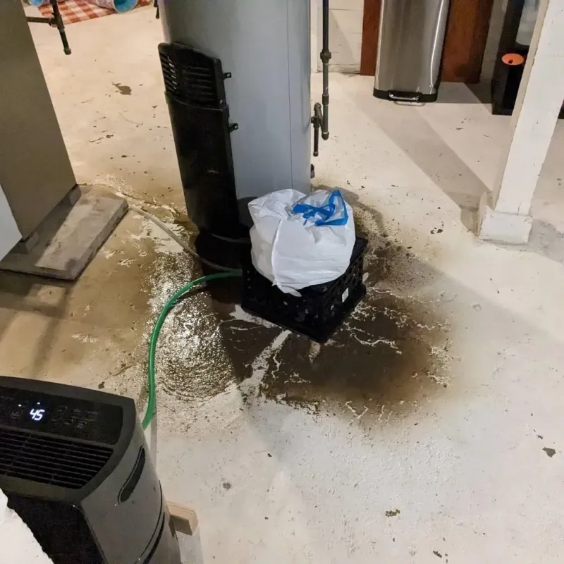 Sewage Backup Cleanup Service in Montevideo, MN